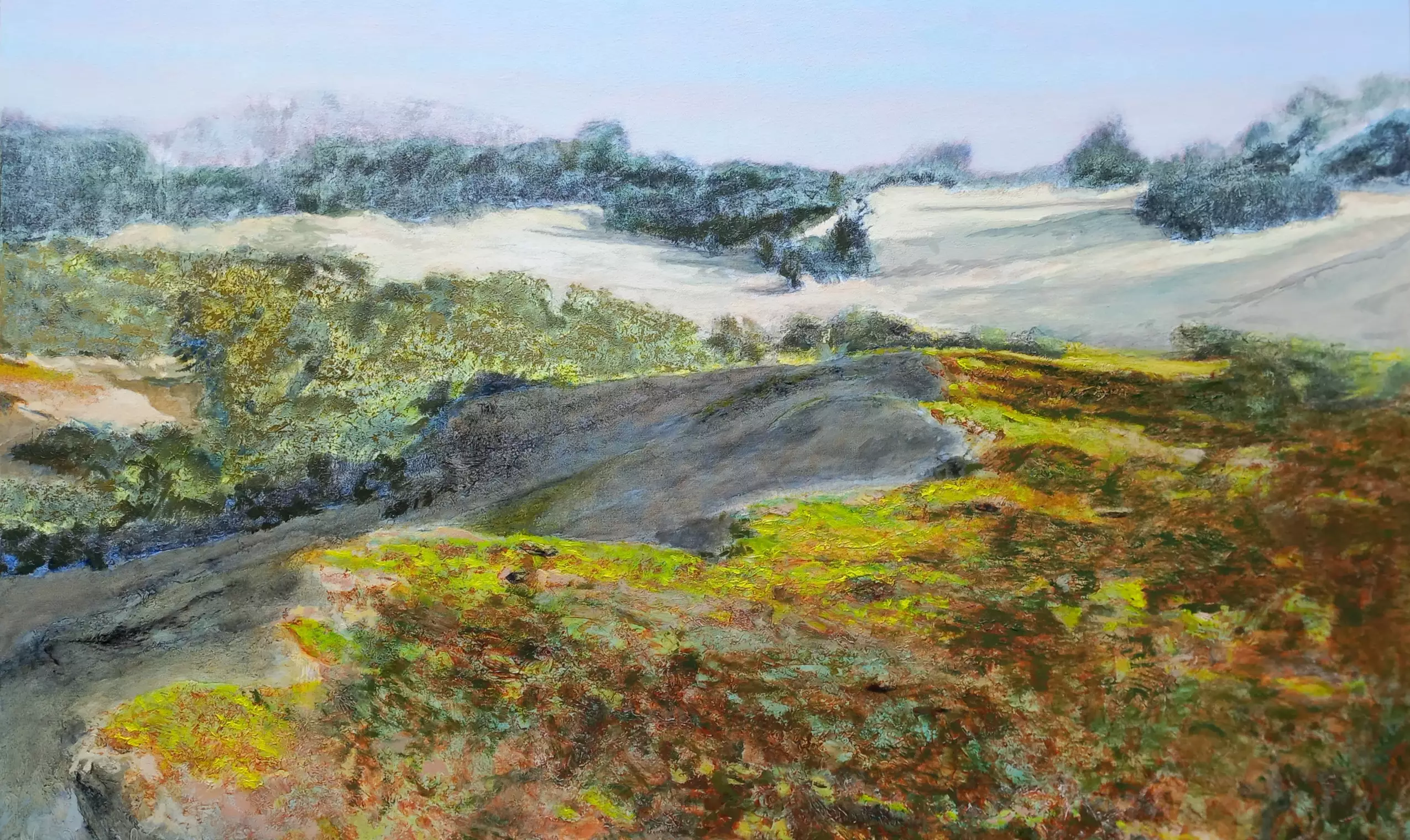 'Natuurreservaat De Westhoek, de Panne, B',100 x 150 cm, Öl auf Leinen. Verkauft - 'Natuurreservaat De Westhoek, de Panne, B',100 x 150 cm, Öl auf Leinen. Verkauft - Dünen und Wälder